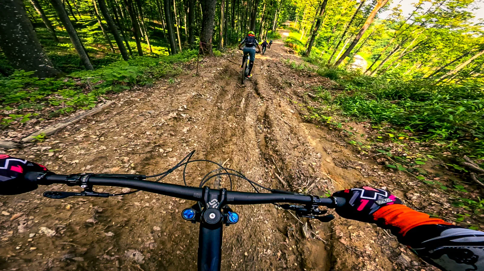 Stvarni MTB spust s ekipom kroz šumu Moslavačke gore